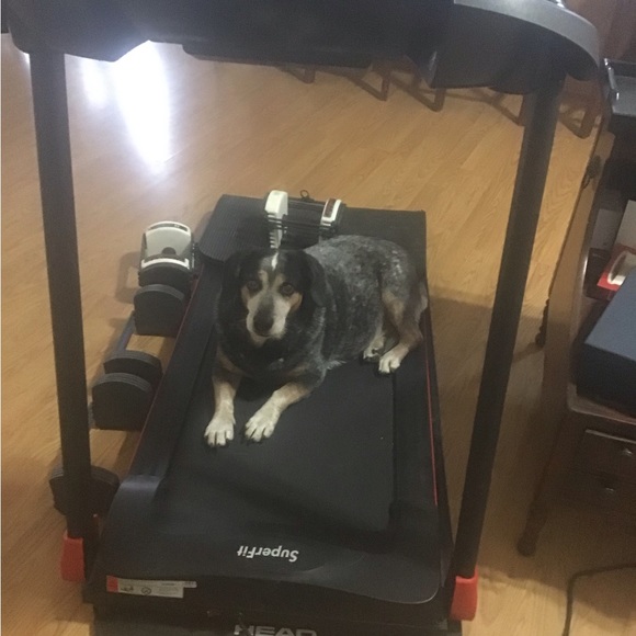 Meet TubbySunrise - Picture 4 of 7